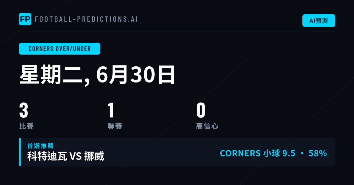 角球大小子市場分析導言