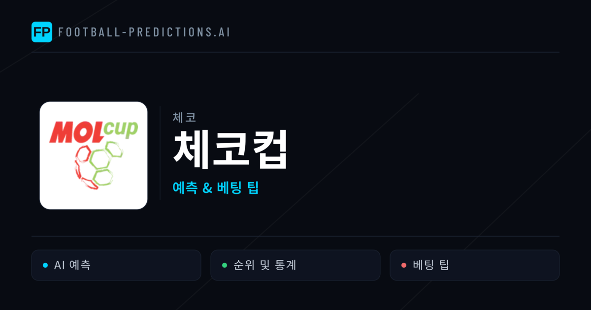 체코 체코컵 축구 예측 & 베팅 팁
