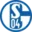 إف سي شالكه 04 (ألمانيا)