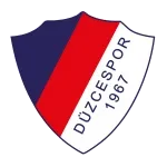 دوздجيسبور