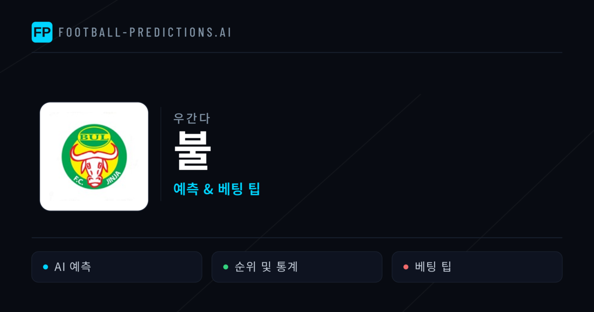 불 축구 예측 & 통계