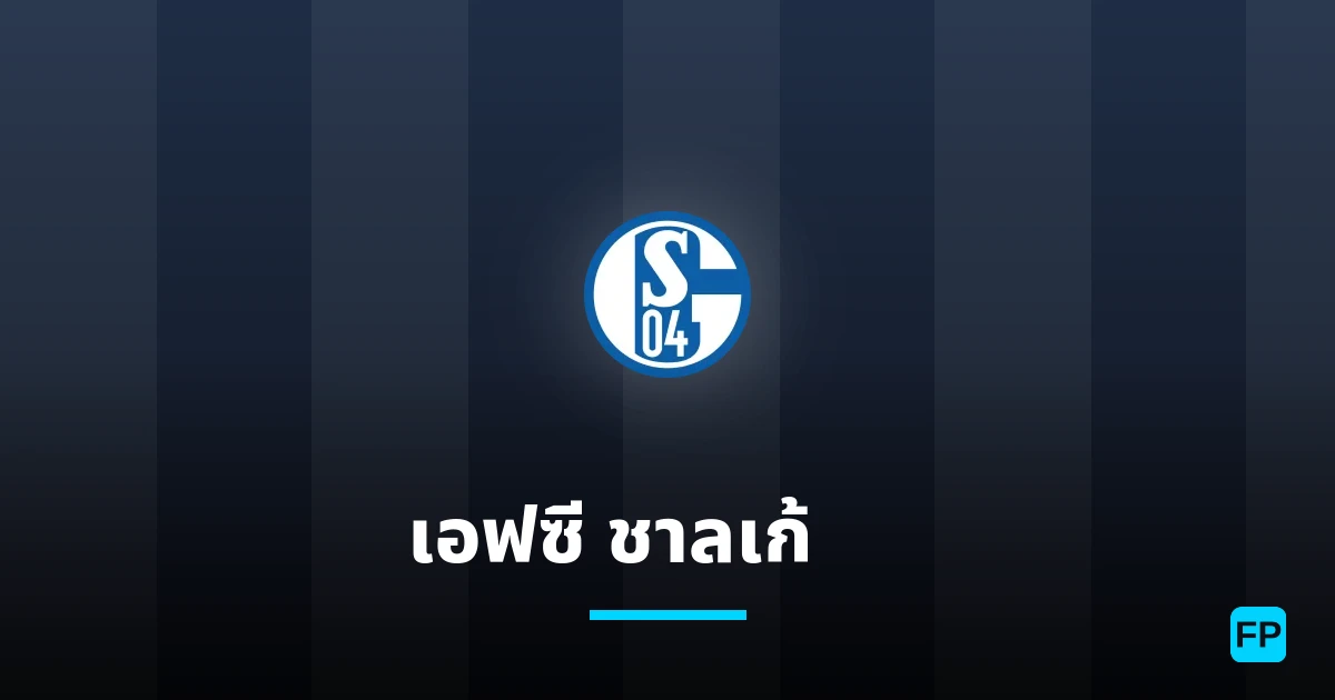 เอฟซี ชาลเก้ 04 การวิเคราะห์และสถิติ