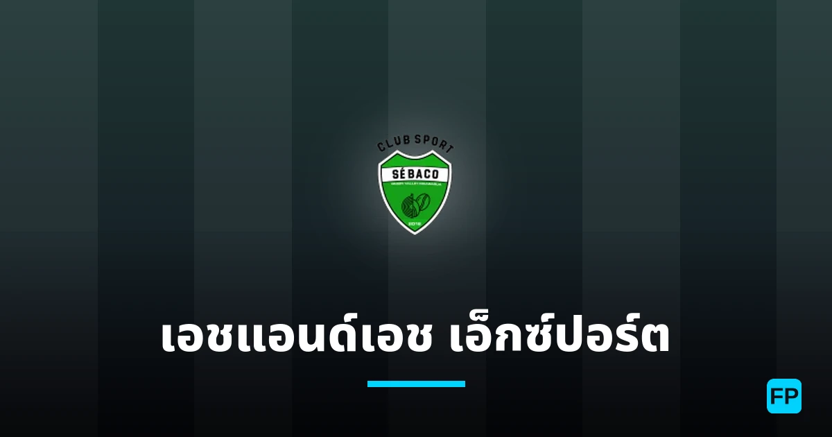 เอชแอนด์เอช เอ็กซ์ปอร์ต การวิเคราะห์และสถิติ