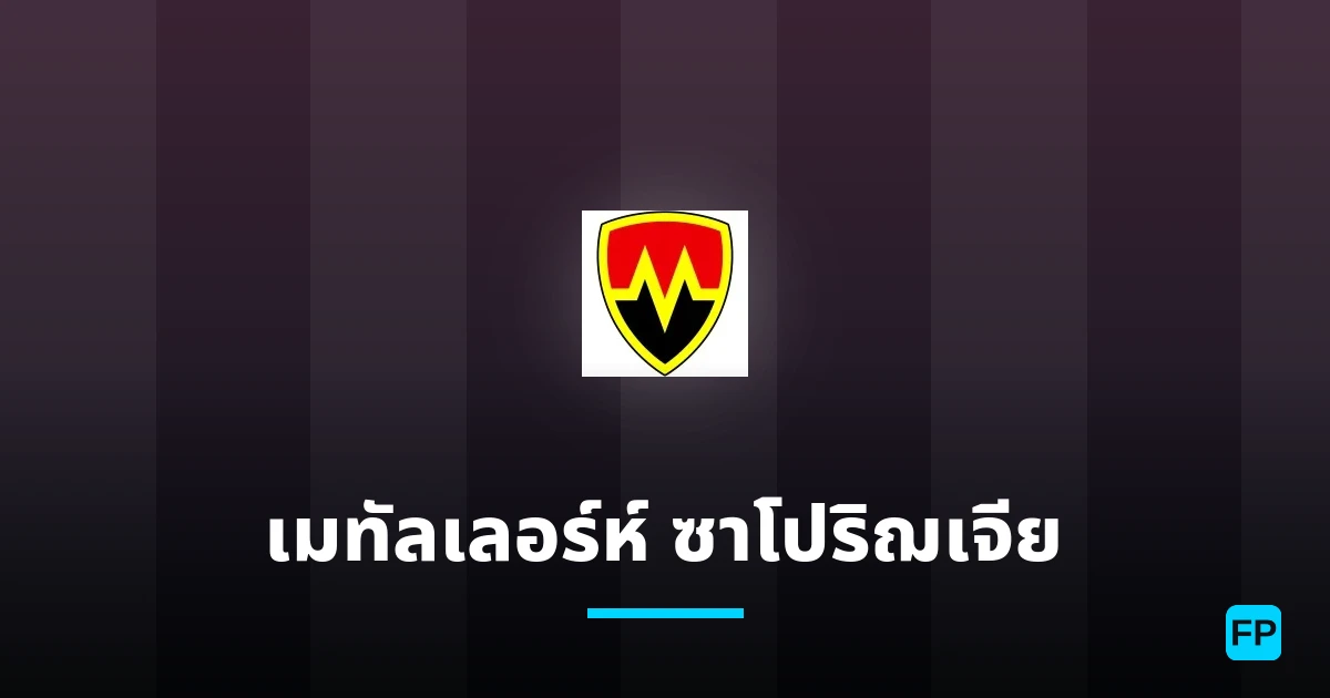 เมทัลเลอร์ห์ ซาโปริฌเจีย การวิเคราะห์และสถิติ