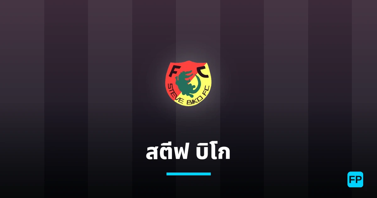 สตีฟ บิโก การวิเคราะห์และสถิติ